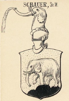 Schauer Coat of Arms / Family Crest 0
