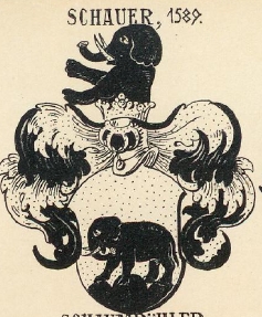 Schauer Coat of Arms / Family Crest 1