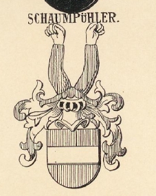 Schaumpuhler Coat of Arms / Family Crest 0