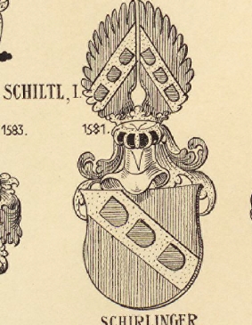 Schiltl Coat of Arms / Family Crest 0