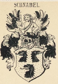 Schnabel Coat of Arms / Family Crest 0