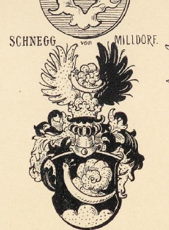 Schnegg Coat of Arms / Family Crest 1