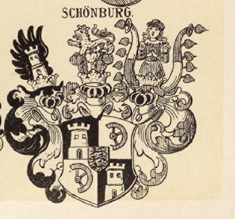 Schonburg Coat of Arms / Family Crest 0
