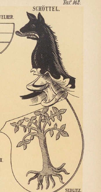 Schottel Coat of Arms / Family Crest 0