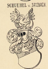 Schuehel Coat of Arms / Family Crest 0