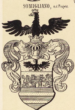 Somigliano Coat of Arms / Family Crest 1