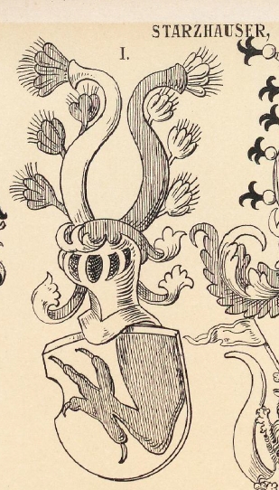 Starzhauser Coat of Arms / Family Crest 0