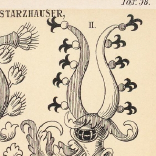 Starzhauser Coat of Arms / Family Crest 1