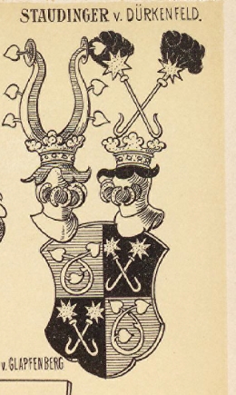 Staudinger Coat of Arms / Family Crest 1