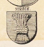 Strach Coat of Arms / Family Crest 0