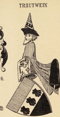 Trautwein Coat of Arms / Family Crest 0