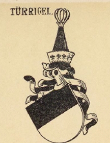 Turrigel Coat of Arms / Family Crest 1