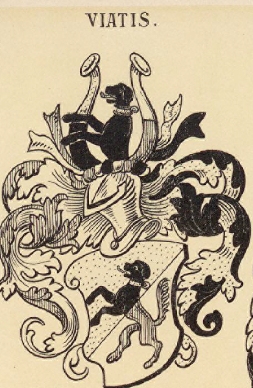 Viatis Coat of Arms / Family Crest 0