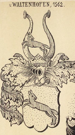 Waltenhofen Coat of Arms / Family Crest 0