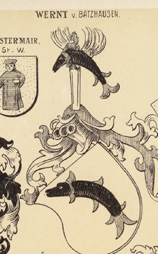 Wernt Coat of Arms / Family Crest 0
