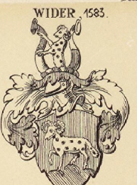 Wider Coat of Arms / Family Crest 0