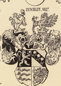 Zeschlin Coat of Arms / Family Crest 0