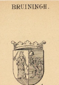 Bruiningh Coat of Arms / Family Crest 0