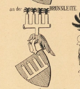 Brunnleite Coat of Arms / Family Crest 0