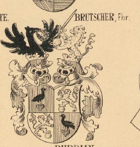 Brutscher Coat of Arms / Family Crest 0