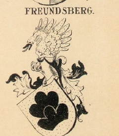 Freundsberg Coat of Arms / Family Crest 1