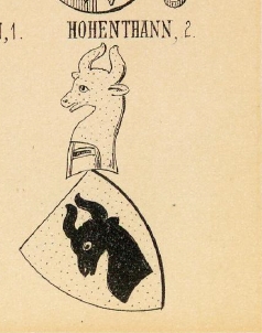 Hohenthann Coat of Arms / Family Crest 1