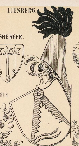 Liesburg Coat of Arms / Family Crest 0
