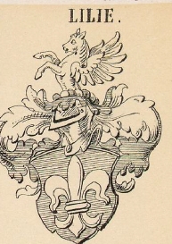 Lilie Coat of Arms / Family Crest 0