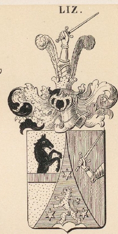 Liz Coat of Arms / Family Crest 0