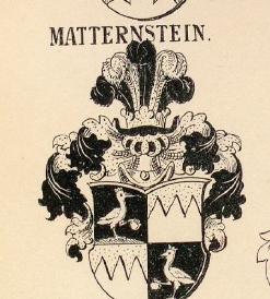 Matternstein Coat of Arms / Family Crest 0