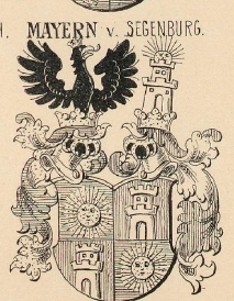 Mayern Coat of Arms / Family Crest 0