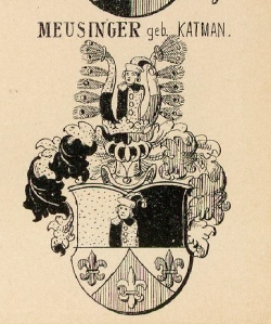 Meusinger Coat of Arms / Family Crest 0