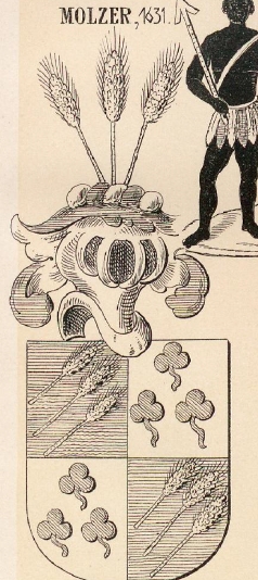 Molzer Coat of Arms / Family Crest 1