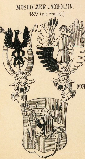 Mosholzer Coat of Arms / Family Crest 0