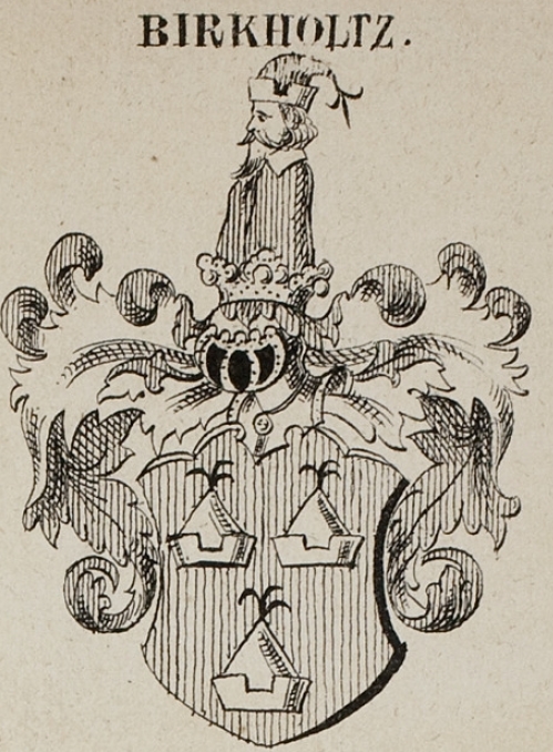 Birkholtz Coat of Arms / Family Crest 2