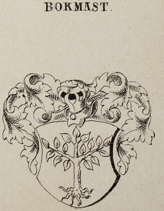 Bokmast Coat of Arms / Family Crest 0