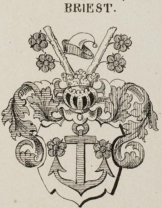 Briest Coat of Arms / Family Crest 2