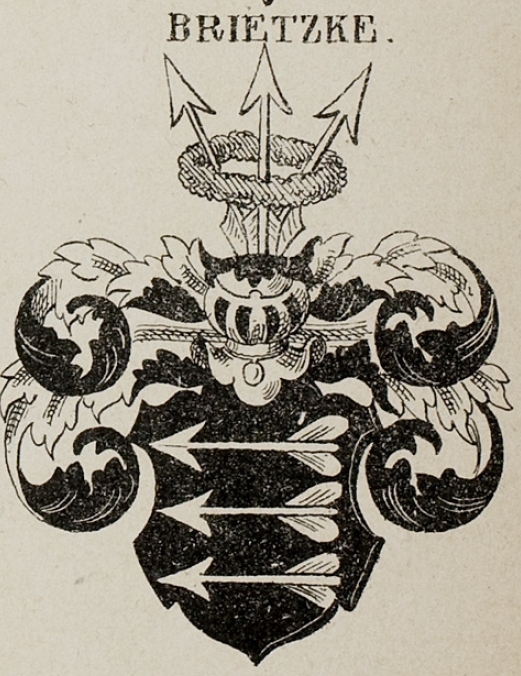 Briest Coat of Arms / Family Crest 1