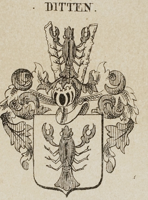 Ditten Coat of Arms / Family Crest 3