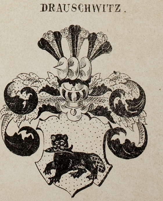 Drauschwitz Coat of Arms / Family Crest 6