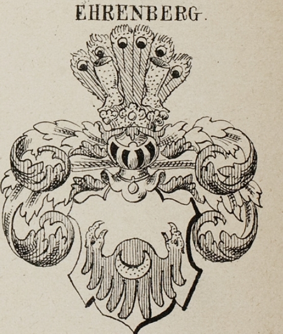 Ehrenberg Coat of Arms / Family Crest 3