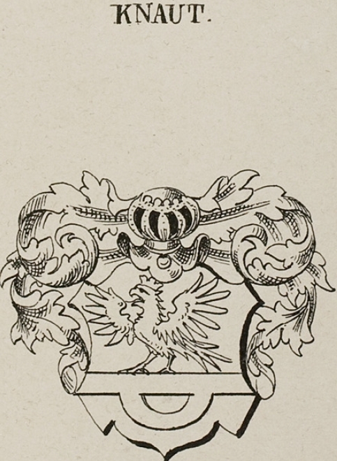 Knaut Coat of Arms / Family Crest 2