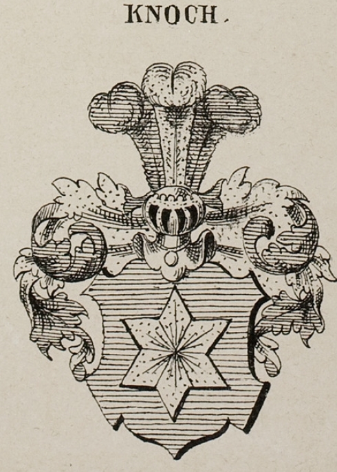 Knoch Coat of Arms / Family Crest 7