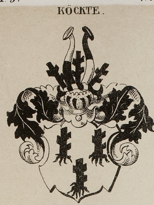 Knoch Coat of Arms / Family Crest 6