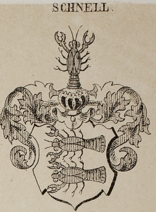 Schnell Coat of Arms / Family Crest 2