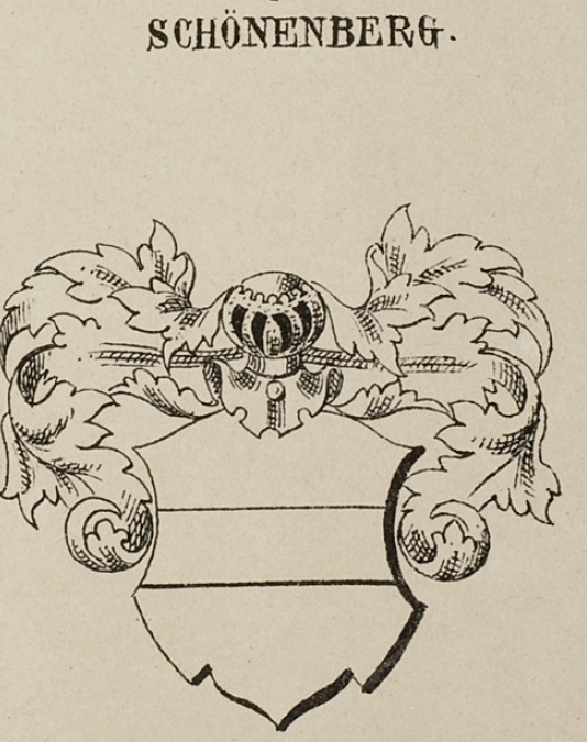 Schonenberg Coat of Arms / Family Crest 0
