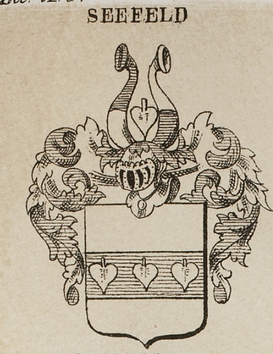 Seefeld Coat of Arms / Family Crest 4