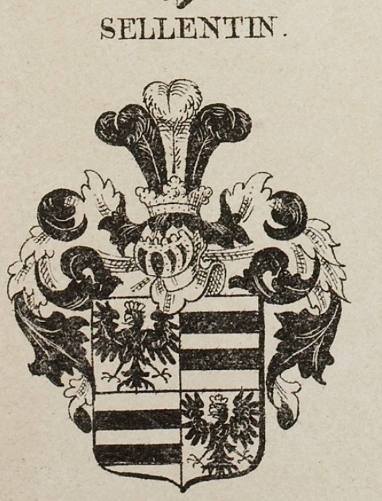 Sellentin Coat of Arms / Family Crest 2