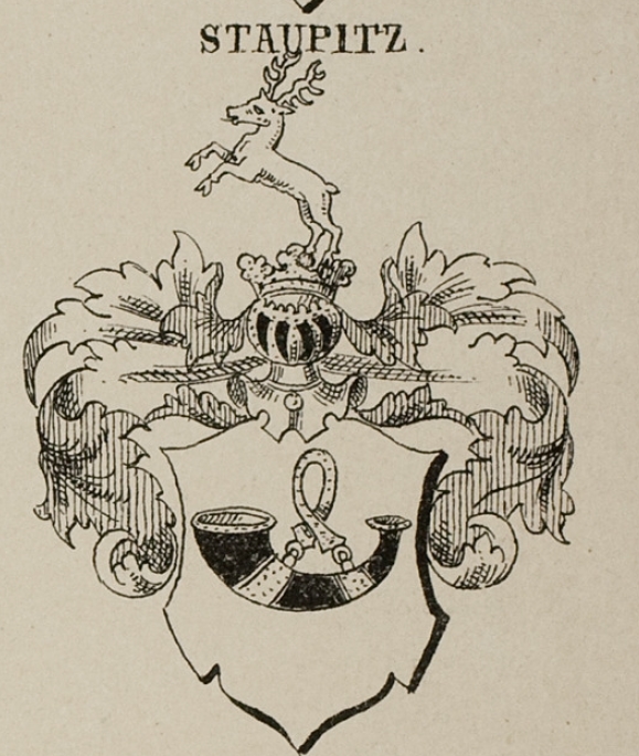 Staupitz Coat of Arms / Family Crest 1