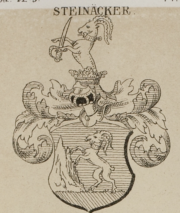 Steinacker Coat of Arms / Family Crest 2